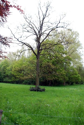 landgoed zevenberg_58